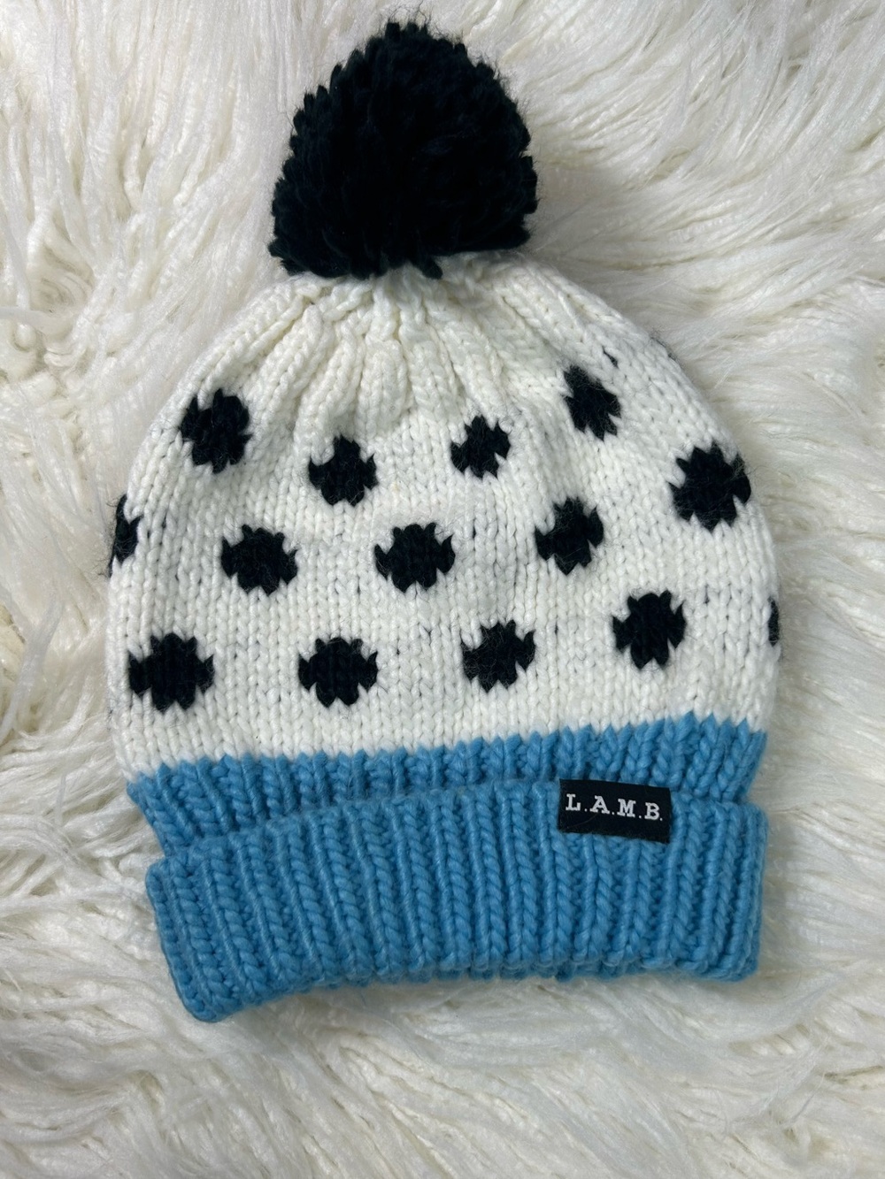 L.A.M.B. x Burton Collab Beanie🩵🤍🖤
